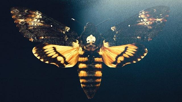 The Silence of the Lambs