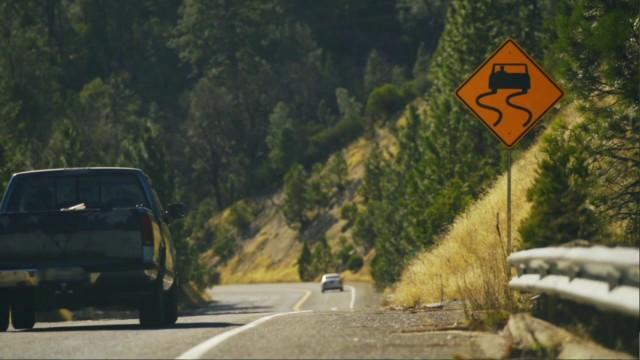 Bones in the Basement