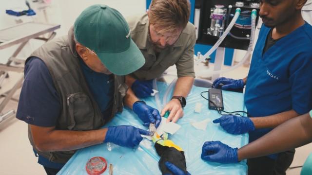 Heroes of Healthcare