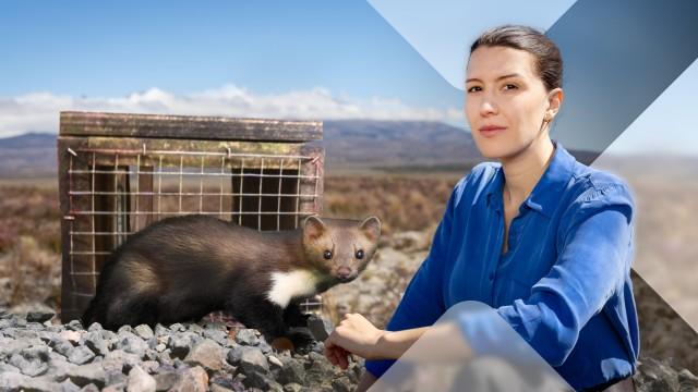 Faszination Erde: Neuseeland – Lizenz zum Töten