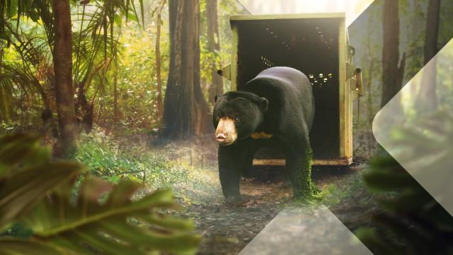 Asien (7) - Hilfe für bedrohte Arten