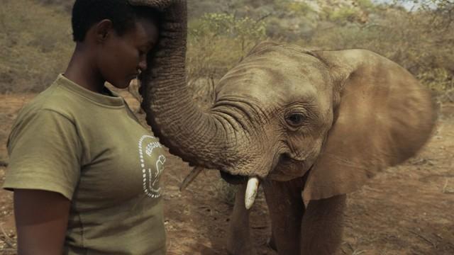 Kenia: las guardianas de los elefantes - El santuario de Reteti