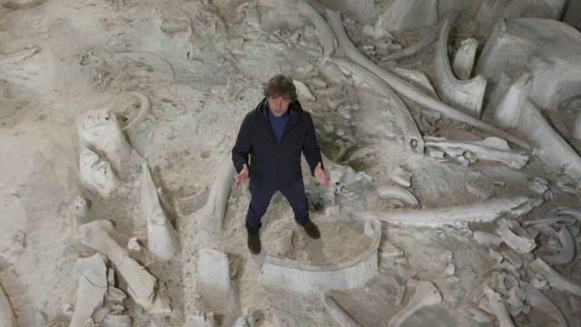 Puntata del 19/01/2026