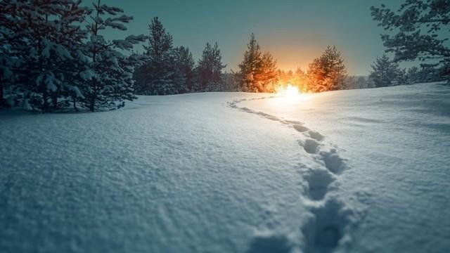 Footprints in the Snow