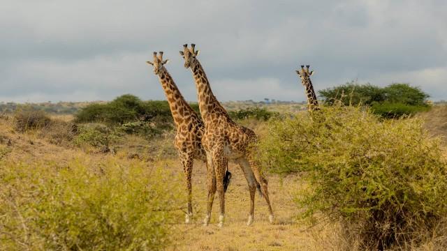 Door de bril van een ander zien