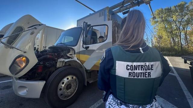 Poids lourds de la fraude