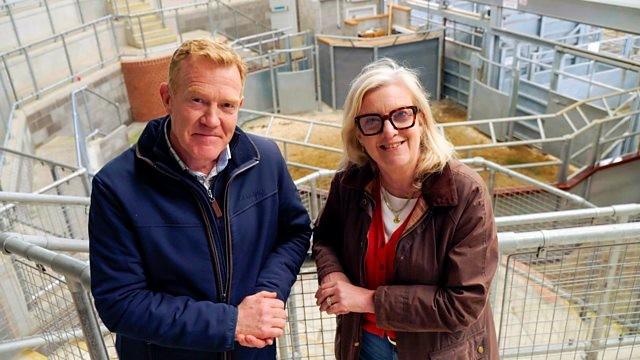 Oswestry Livestock Market