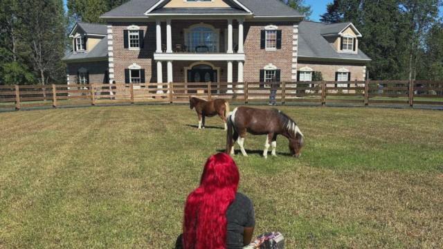 Hostile Horseplay