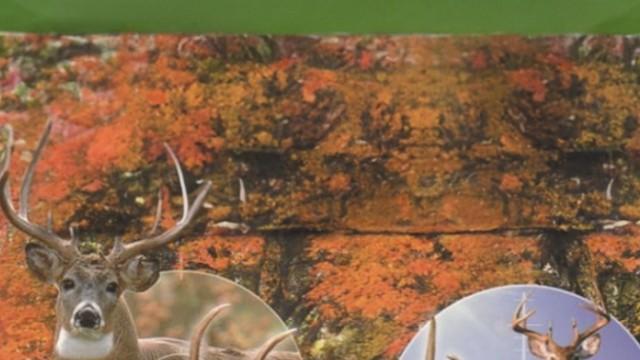 Remington Big Buck Trophy Hunt