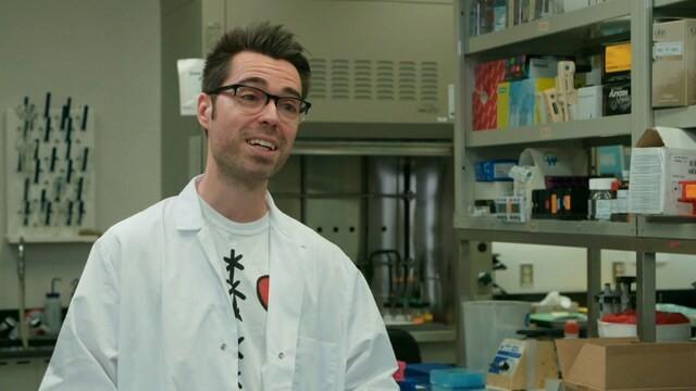 Les médicaments contre le cholestérol