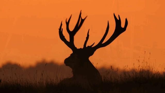 Tausend Moore, hundert Seen und ein Wald