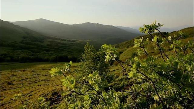 Im Wolfsgebirge der Ostkarpaten