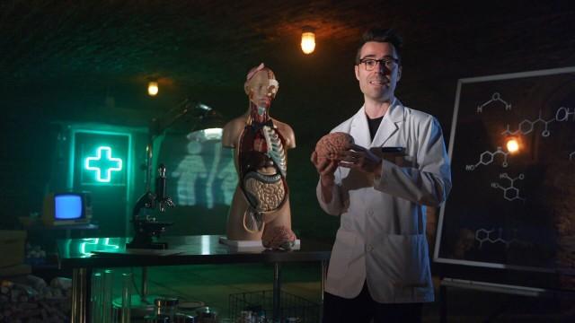 Sexe biologique, genre et santé