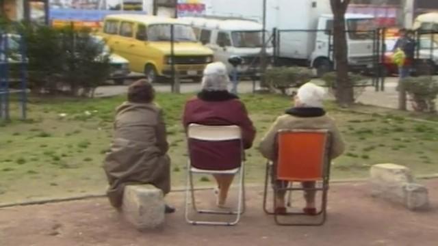 Une mouche dans la salade