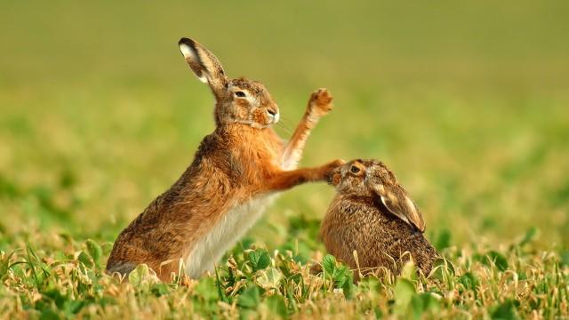 Magische Momente der Natur