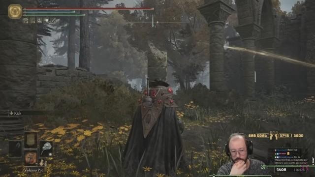 "Spinning Bird Kick"