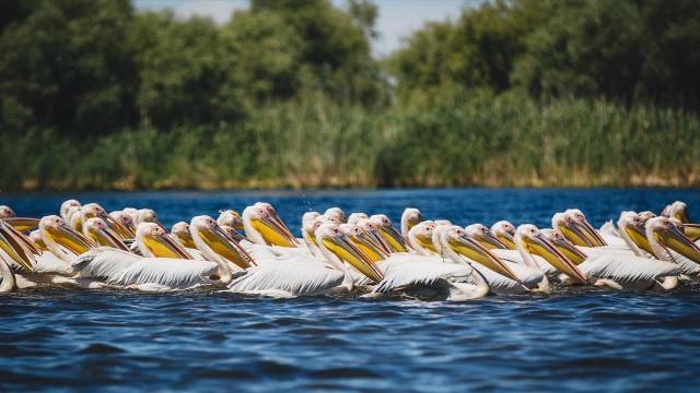 Flussgiganten (2): Die Donau