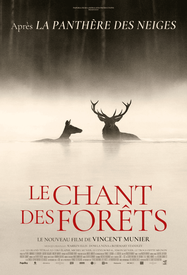 Le chant des forêts