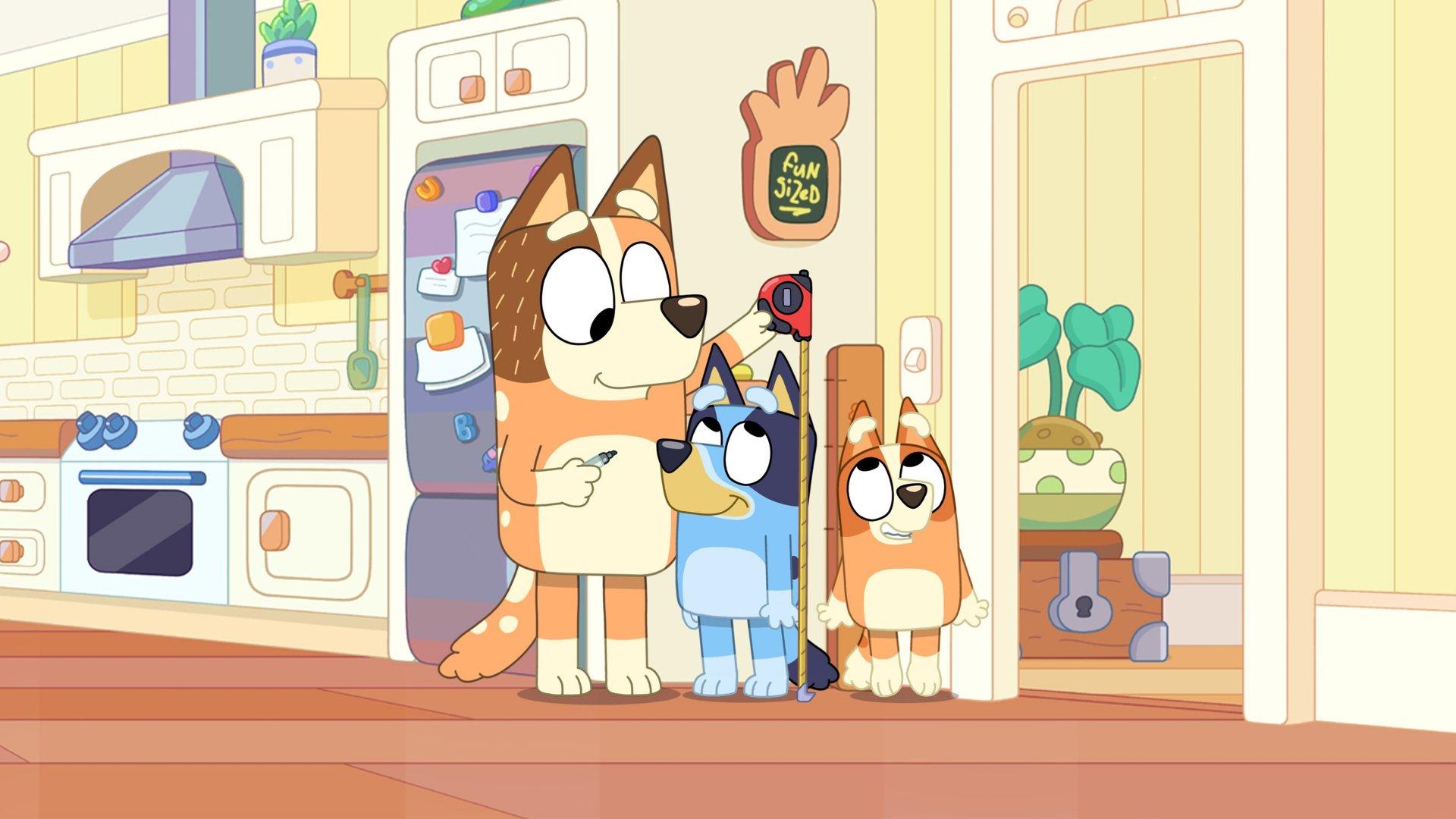 Bluey Minisodes